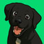 Luca Netz's Dog (BANDIT)